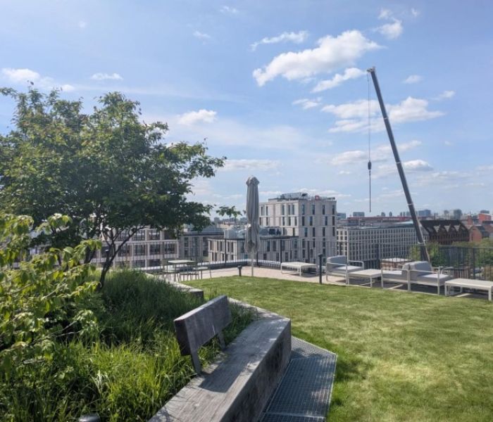 Weitläufige Mieterterrasse (Foto: Levin Monsigny Landschaftsarchitekten)