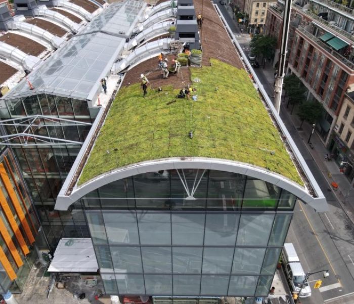 Ein Kran hievt die Paletten mit vorkultivierten Vegetationsmatten (Foto: Zinco)